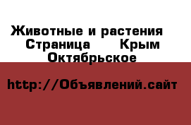  Животные и растения - Страница 11 . Крым,Октябрьское